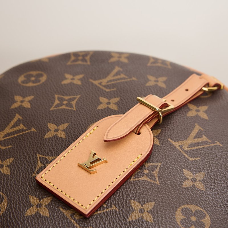 二手Lv 大號軟圓餅包/老花-14