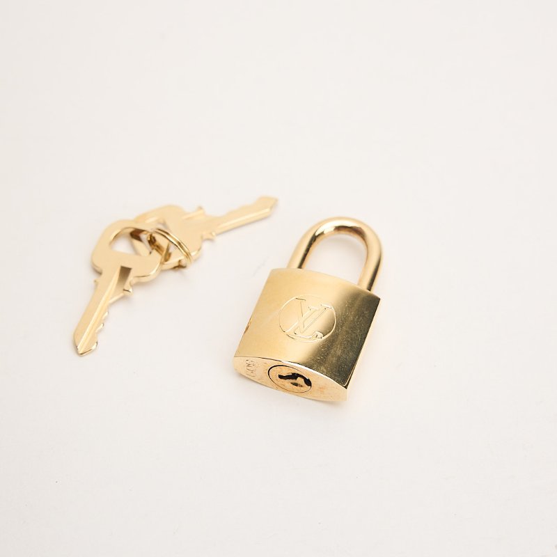 二手Lv 大號軟圓餅包/老花-15