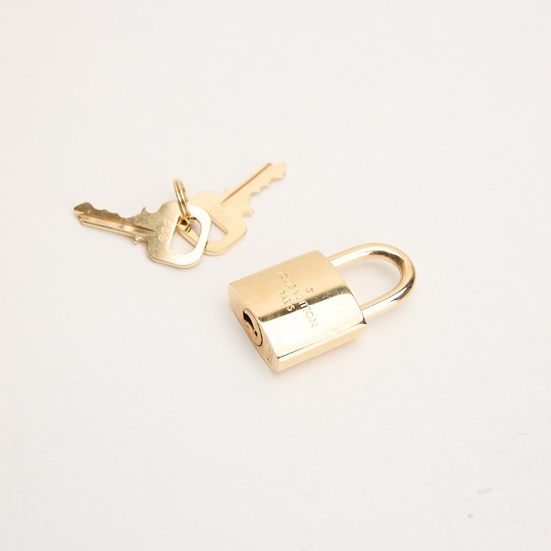 二手Lv 大號軟圓餅包/老花-16