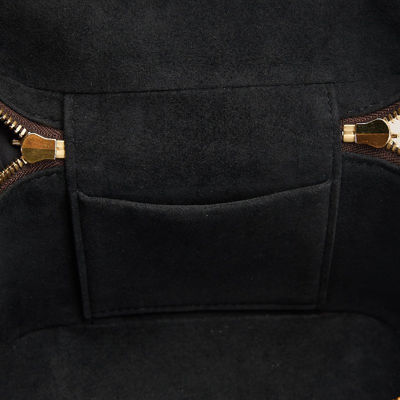 二手Lv Vanity 化妝包/老花 晶片款-23