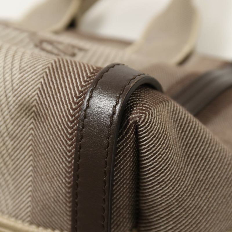 Chloe 帆布Small Carry Tote手挽肩背兩用袋-12