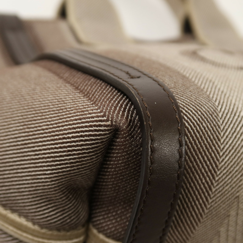 Chloe 帆布Small Carry Tote手挽肩背兩用袋-13