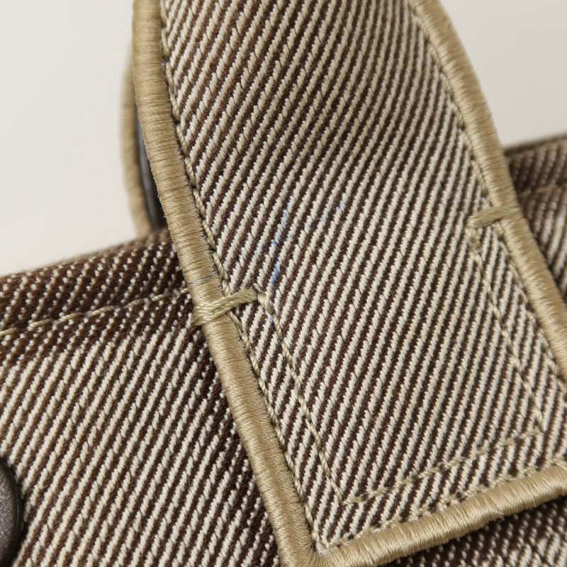 Chloe 帆布Small Carry Tote手挽肩背兩用袋-15