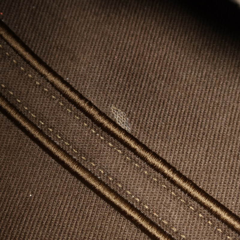 Chloe 帆布Small Carry Tote手挽肩背兩用袋-16