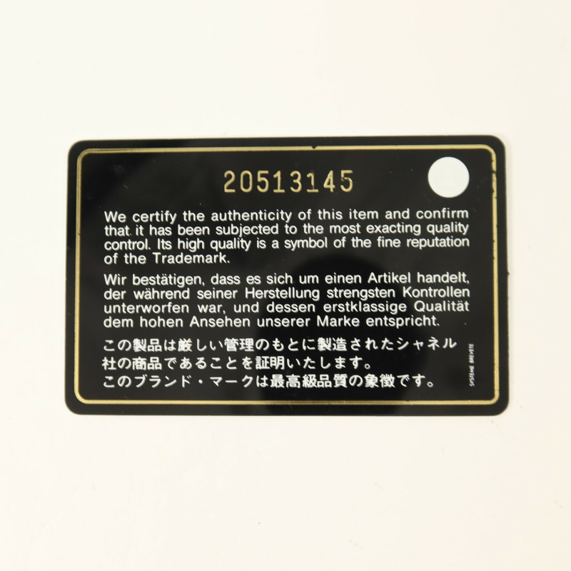 CHANEL 牛皮皮革WOC Wallet On Chain鏈帶肩背袋-9