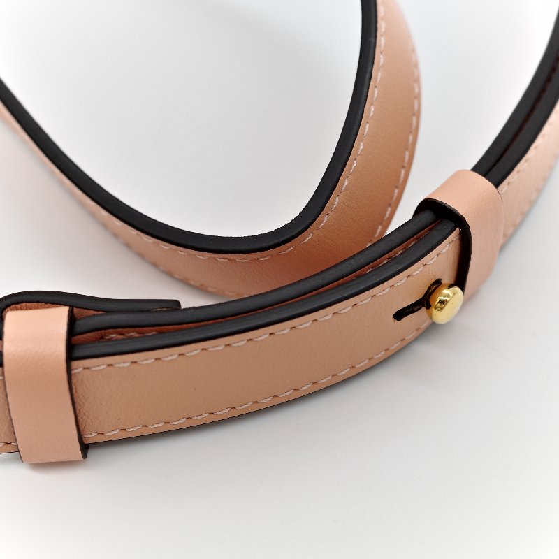 Chloé 蔻依C 系列 裸粉色-19