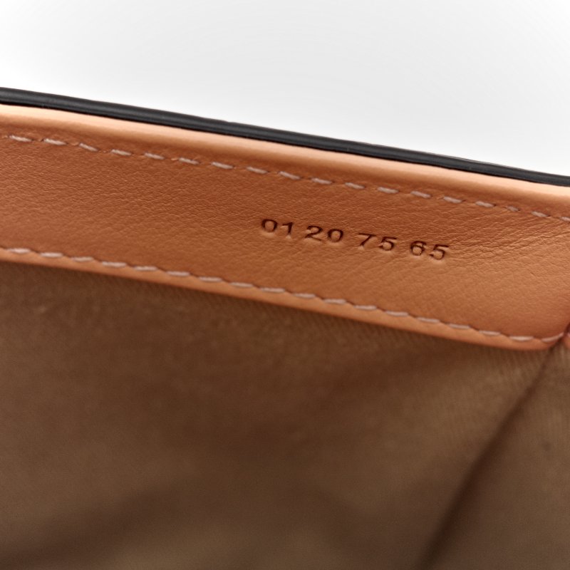 Chloé 蔻依C 系列 裸粉色-28