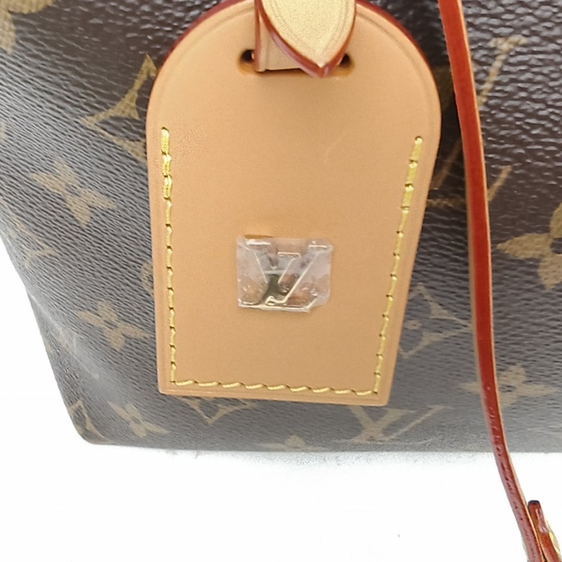 LOUIS VUITTON CARRYALLEastWest老花PVC金扣晶片-4