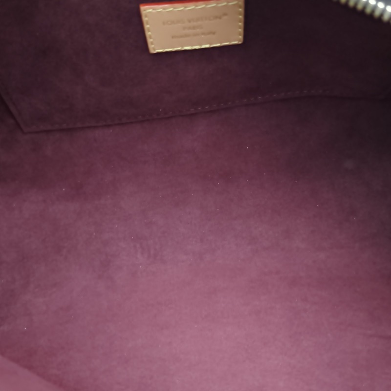 LOUIS VUITTON CARRYALLEastWest老花PVC金扣晶片-5