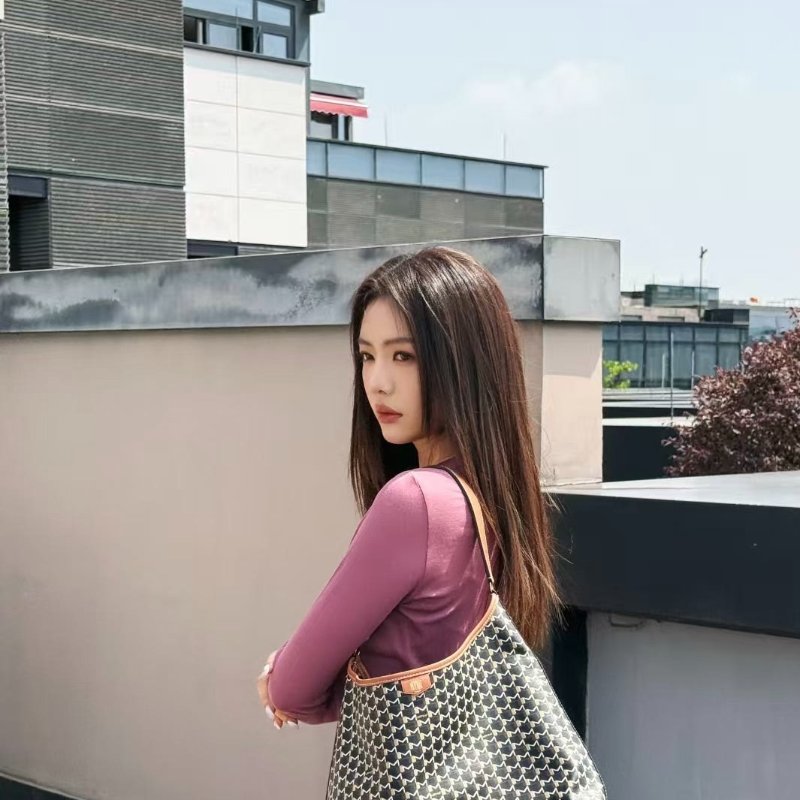 Moynat paris Mcanvas hobo  帆布手提斜背包32*17*15cm 99新配件塵袋 肩帶-2