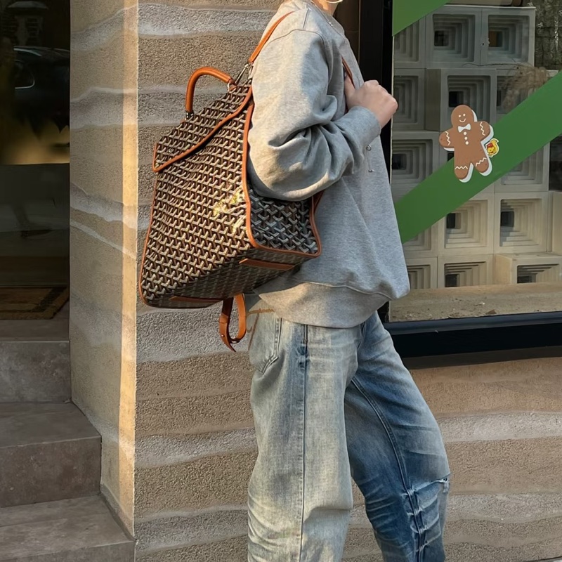 Goyard戈雅Saint Leger折叠雙肩包🚴‍♂️全網都在找的棕色包-19