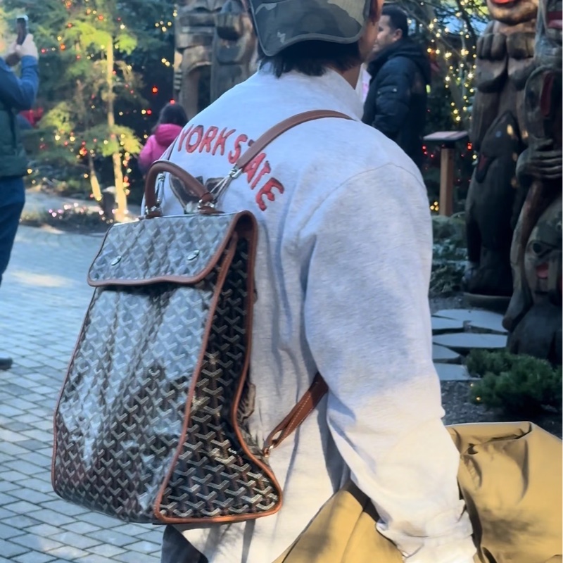 Goyard戈雅Saint Leger折叠雙肩包🚴‍♂️全網都在找的棕色包-25