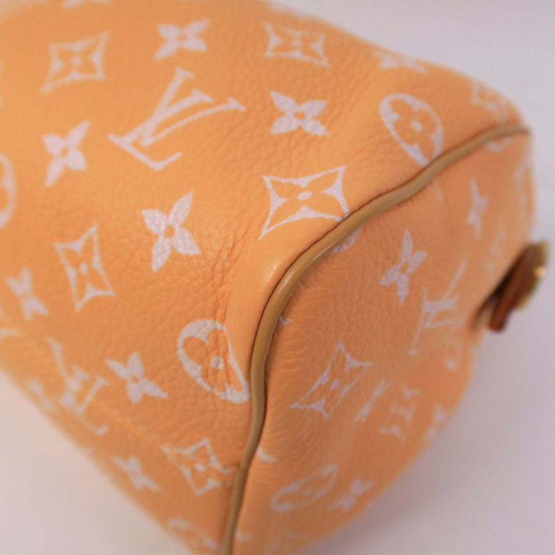 LOUIS VUITTON 牛皮/羊皮皮革Speedy P9 Bandouliere 25手挽肩背兩用袋-9