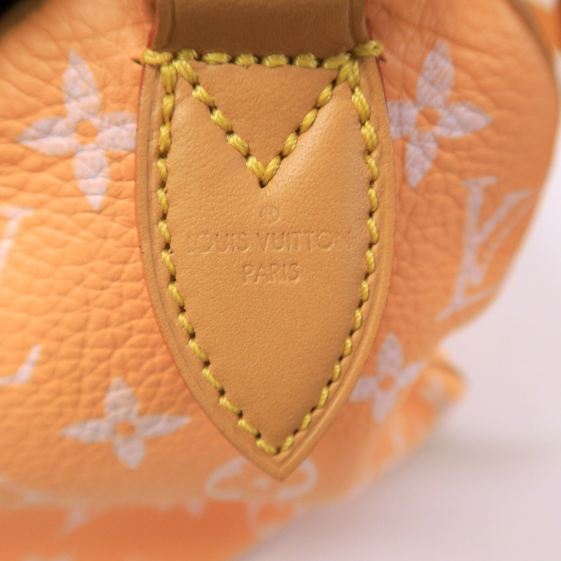 LOUIS VUITTON 牛皮/羊皮皮革Speedy P9 Bandouliere 25手挽肩背兩用袋-13