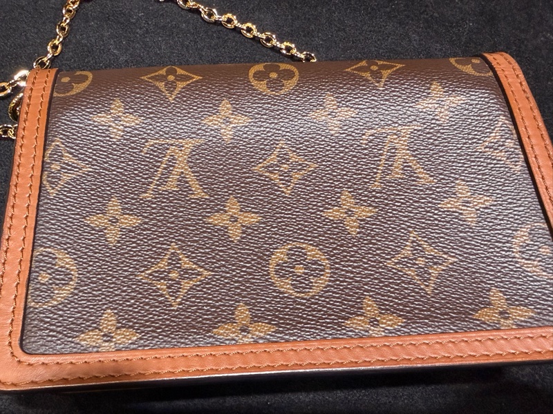 LV達芙妮woc 雙色老花鏈條包-3