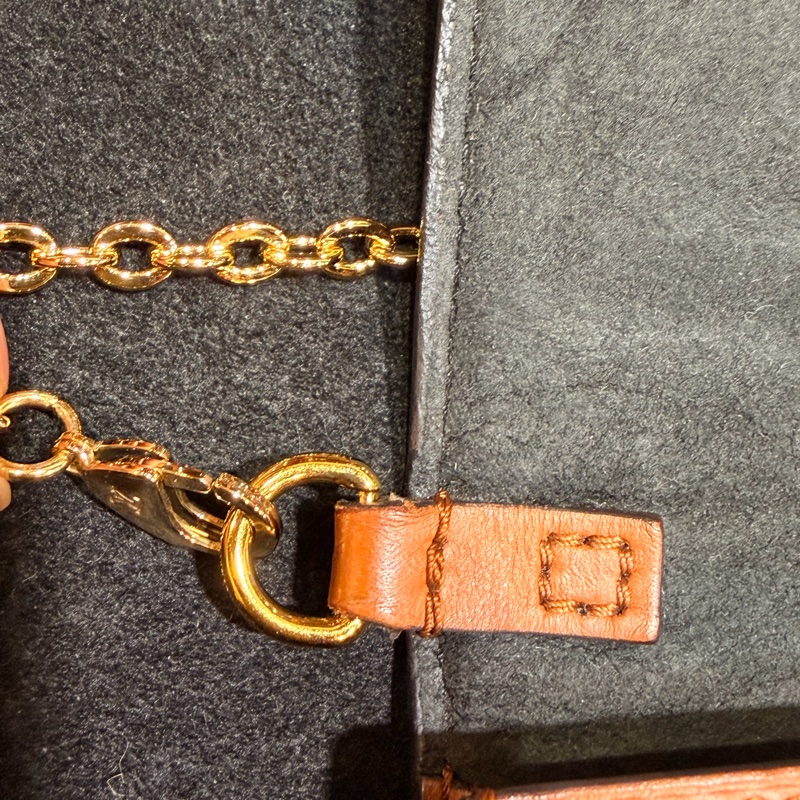 LV達芙妮woc 雙色老花鏈條包-23