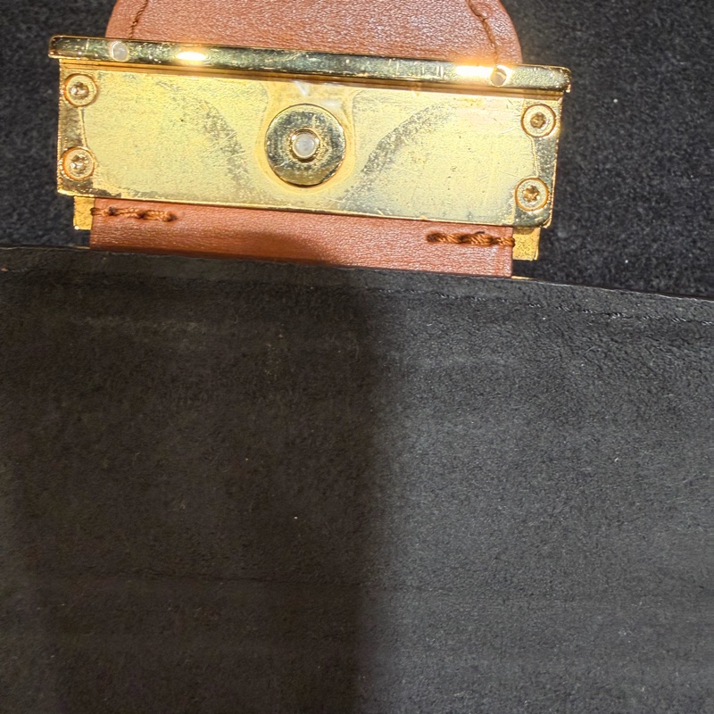 LV達芙妮woc 雙色老花鏈條包-31