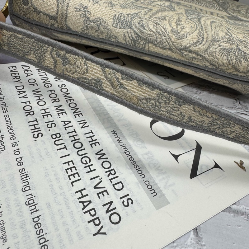 Dior 馬鞍包 有背帶-12