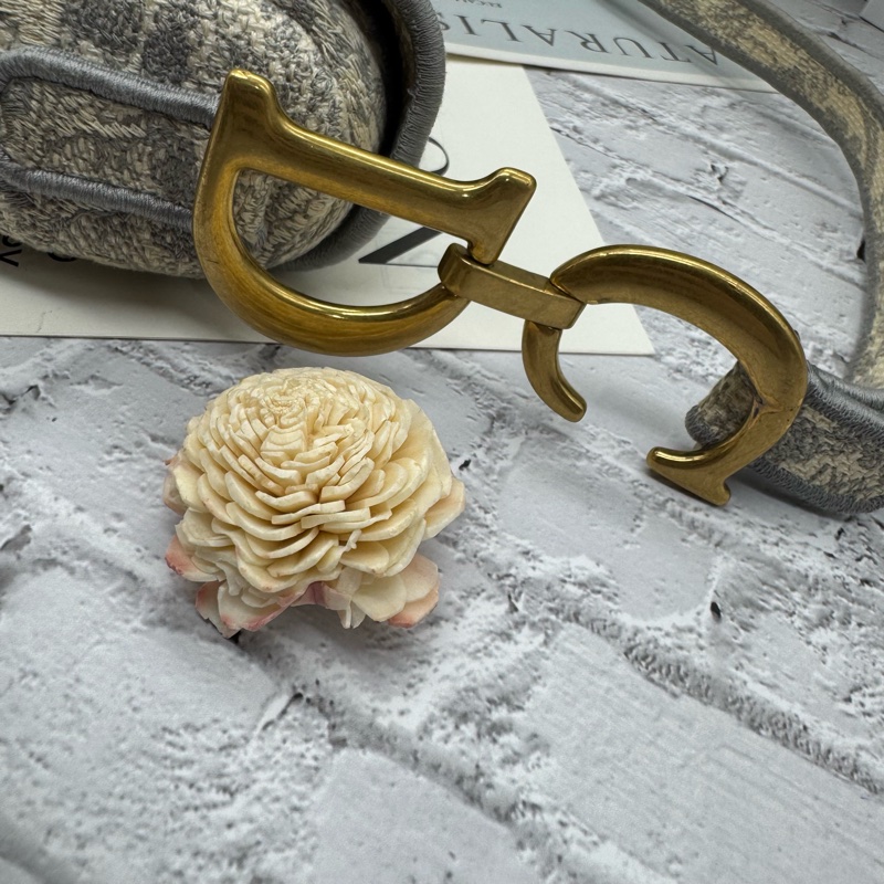 Dior 馬鞍包 有背帶-16