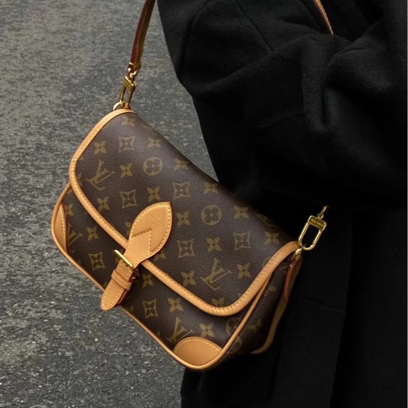 LOUISVUITTON路易威登老花Diane黑背帶法棍🥖包-29