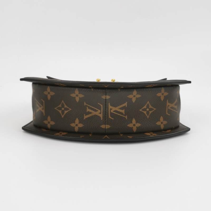 Louis Vuitton (LV) Tilsitt牛皮拼色老花金屬扣斜挎包肩背包晶片款-5