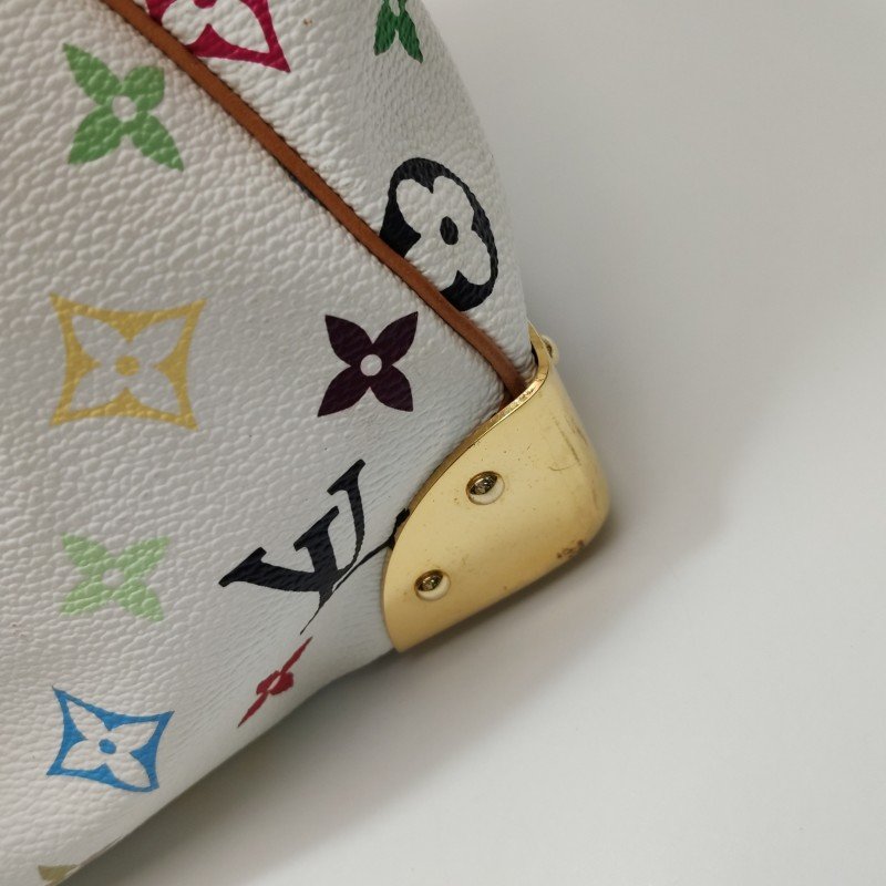 Louis Vuitton (LV) Speedy30植鞣革白三彩波士顿包手提包-9