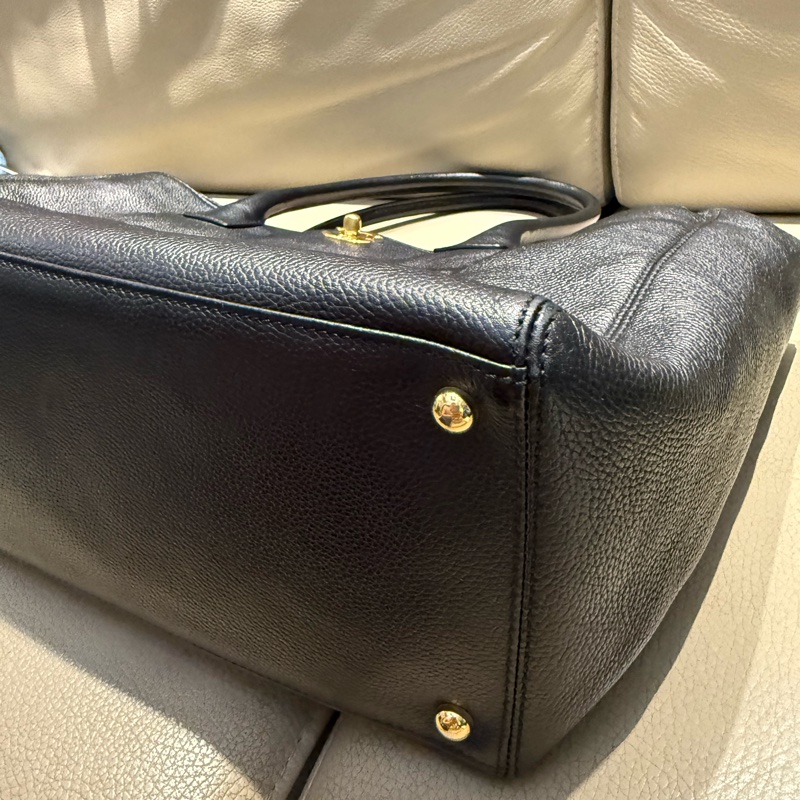 Chanel cerf 黑金中號-19