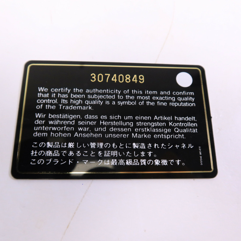 CHANEL 羊皮皮革Chanel 19 Phone Bag鏈帶手挽肩背兩用袋-18