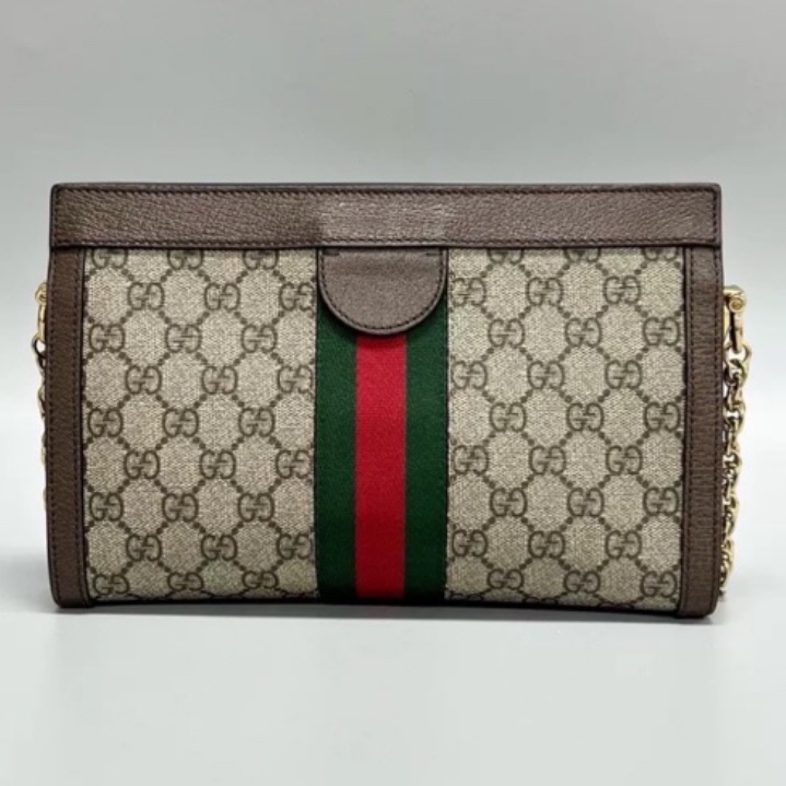 GUCCI古馳ophidia系列OP小號夾子包金色鏈條包🌐-11