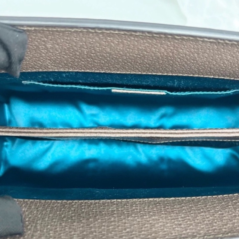 GUCCI古馳ophidia系列OP小號夾子包金色鏈條包🌐-18