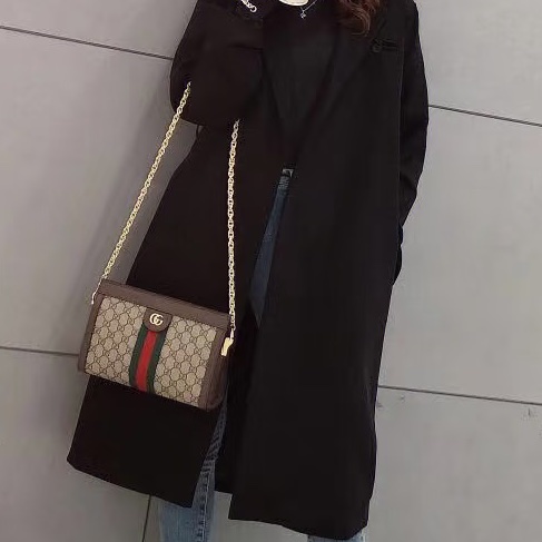 GUCCI古馳ophidia系列OP小號夾子包金色鏈條包🌐-22