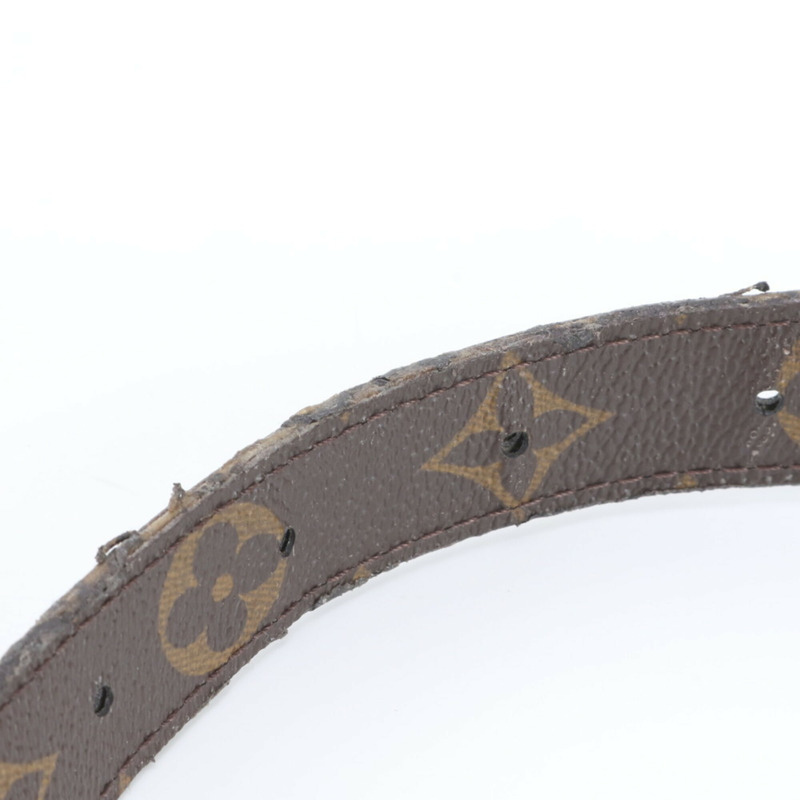 路易威登女士RFID防護Swing榛果色M20396兩用肩背包/斜背包-9