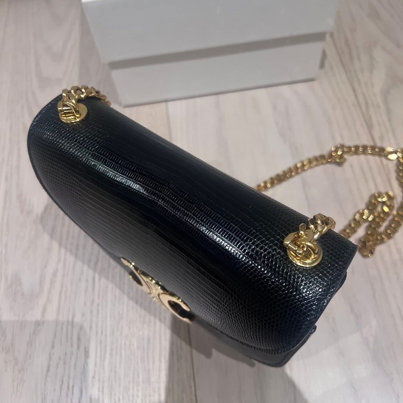 售9新經典Celine 凱旋蜥蜴包😆🥳-7