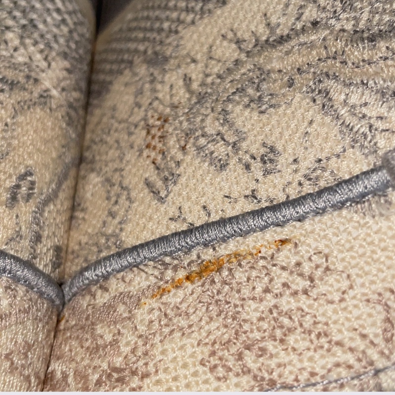 98新DIOR迪奧 BookTote中號茹伊印花老虎圖案 刺繡 托特包Tote包購物袋手提包灰色-13