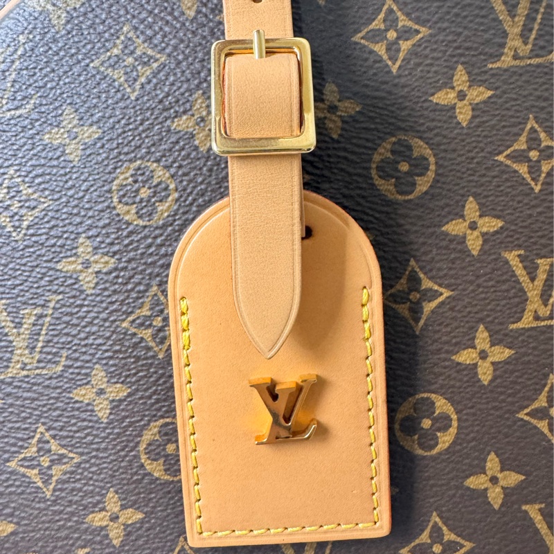 Louis Vuitton 硬圓餅M43514-12