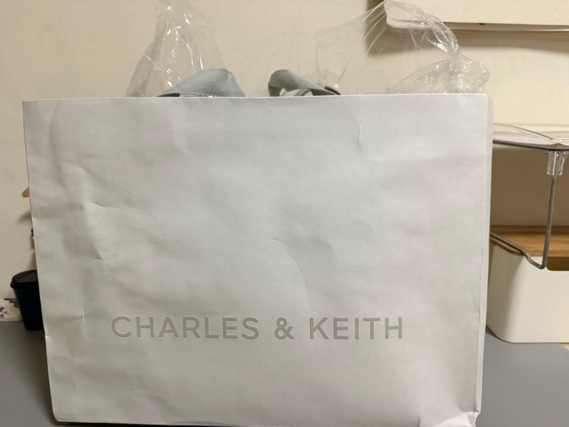 CHARLES & KEITH托特包_小CK-3