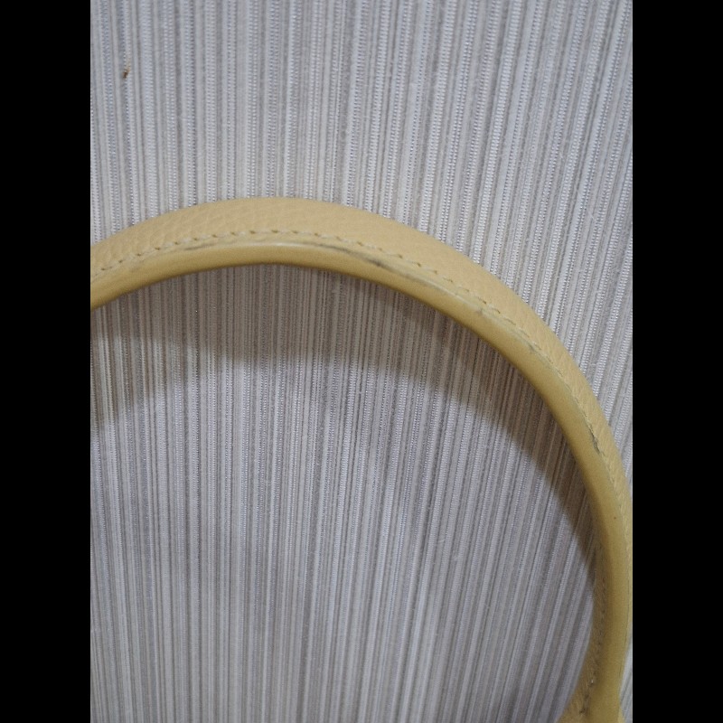 longchamp roseau 含羞草黃手提包-11