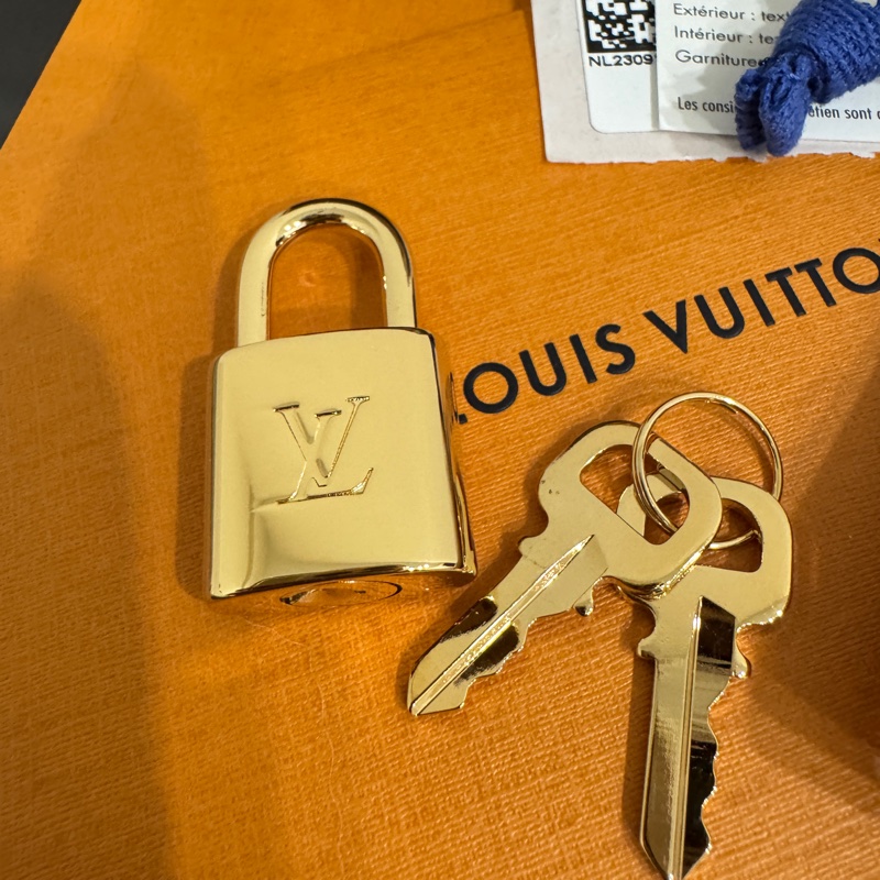 Louis Vuitton Speedy 20 芯片款💗原廠奶茶色背帶(盒裝完整）-1