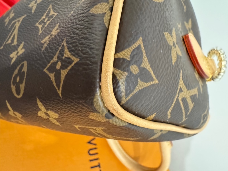 Louis Vuitton Speedy 20 芯片款💗原廠奶茶色背帶(盒裝完整）-9