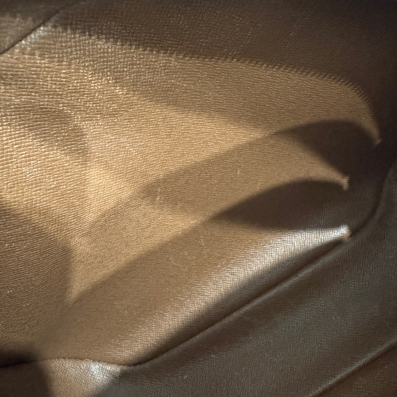 Louis Vuitton 蘋果包🍎-11