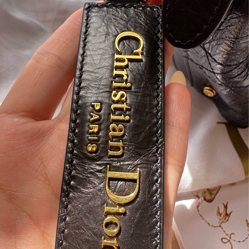 Dior皺面小牛皮 D-Journey小型包-3