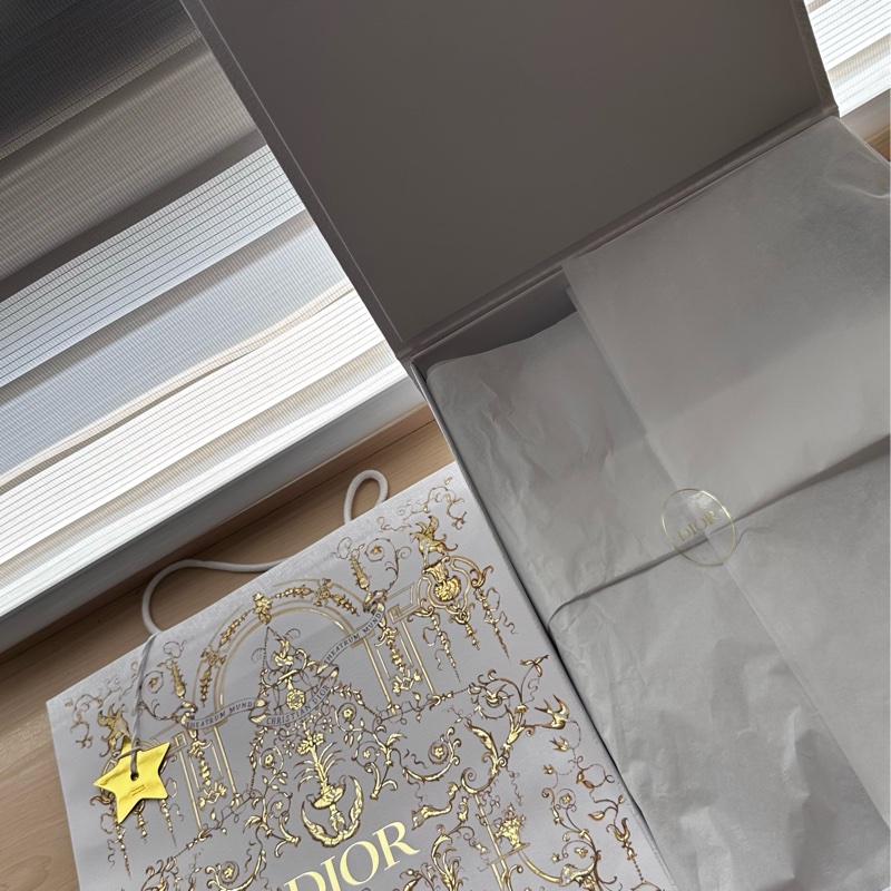 Dior皺面小牛皮 D-Journey小型包-4