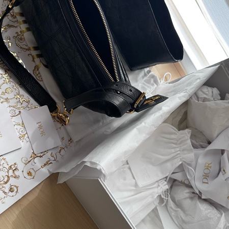 Dior皺面小牛皮 D-Journey小型包-28