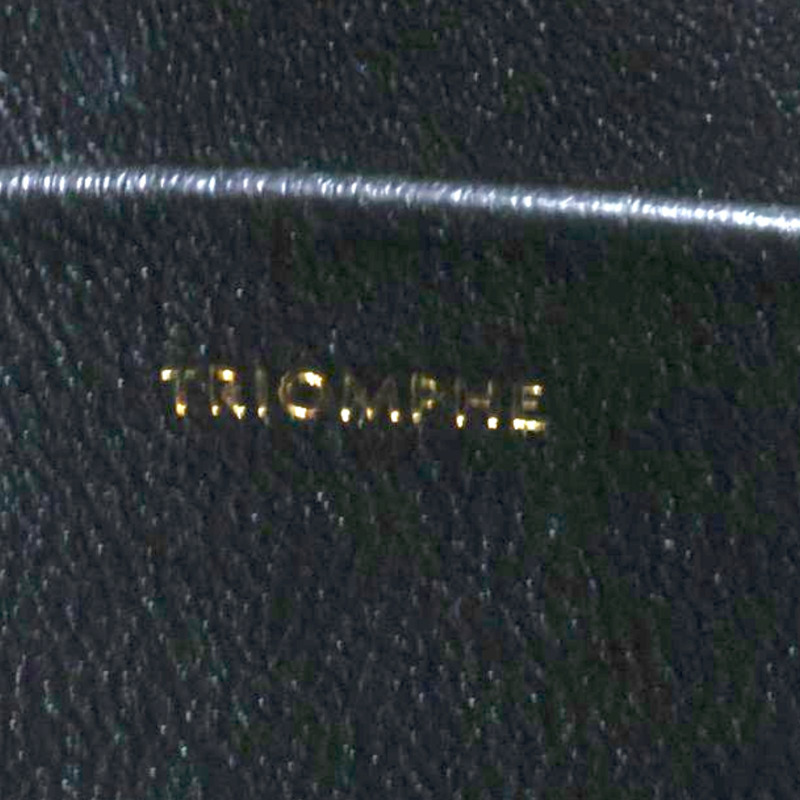 黑色 牛皮 TEEN TRIOMPHE 肩背包【CELINE 賽琳】 188423-5