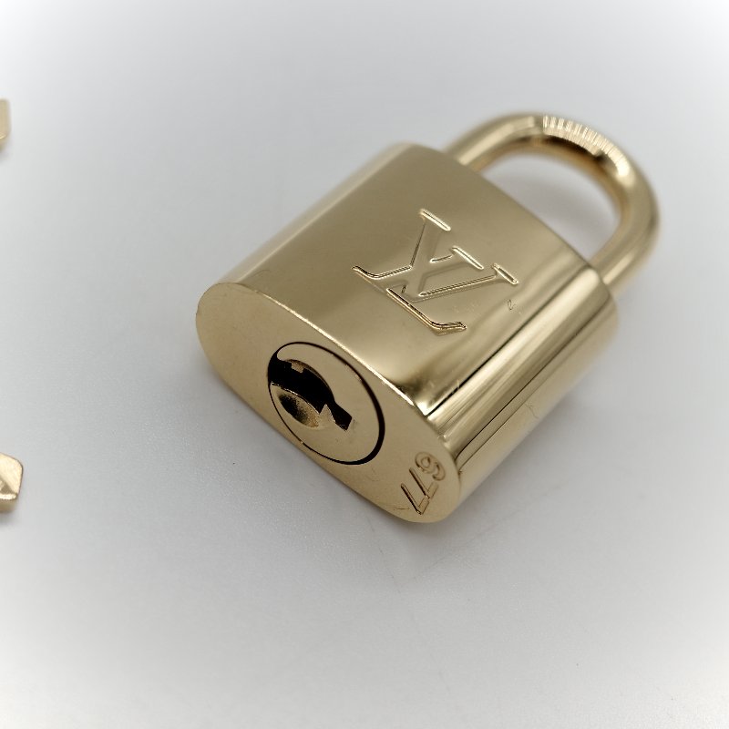 louis Vuttion 黑公事包-21