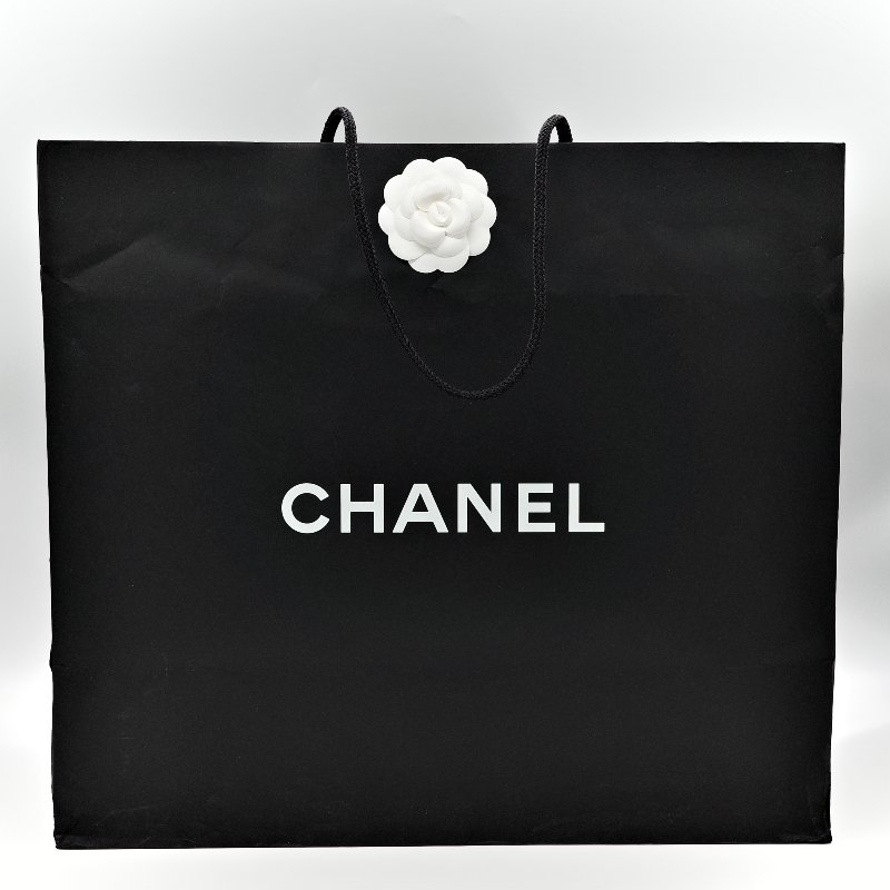 CHANEL 25BAG 中號-27