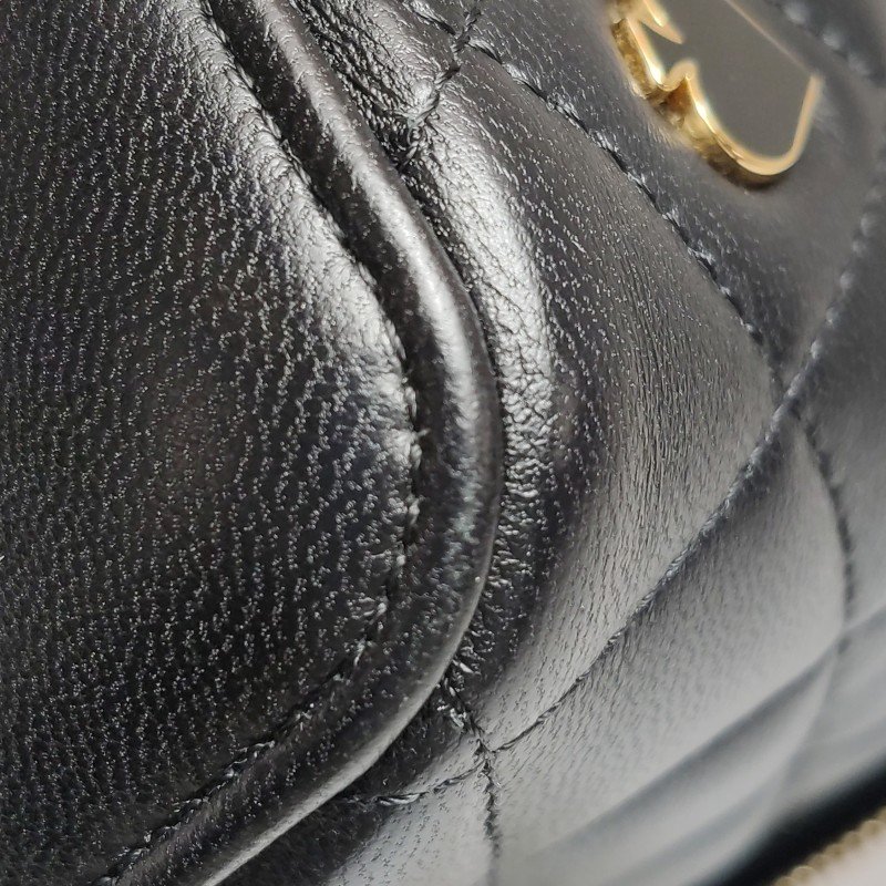 Chanel Vanity Case羊皮菱格絎縫徽章裝飾雙C標識斜挎包單肩包-19