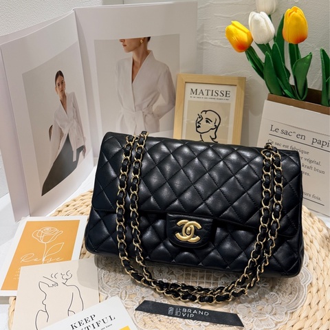 Chanel Classic Flap 25 Lambskin Bag