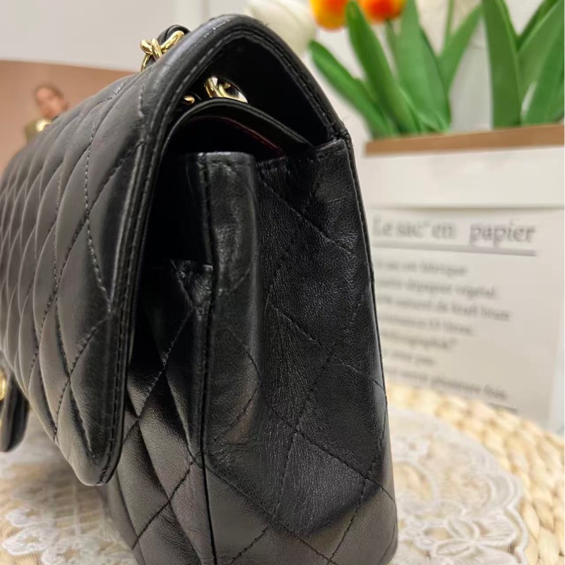 Chanel Classic Flap 25 Lambskin Bag-14