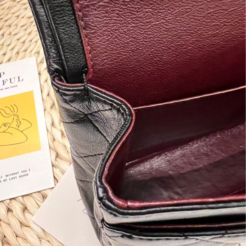 Chanel Classic Flap 25 Lambskin Bag-17